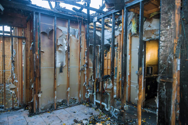 Professional Emergency Fire Cleanup technician working in Bruceton, TN